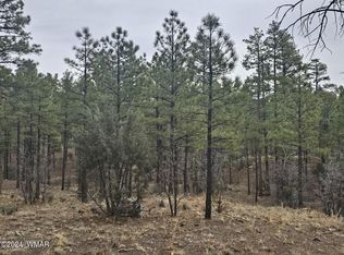 481 Silverleaf Ln, Show Low, AZ 85901