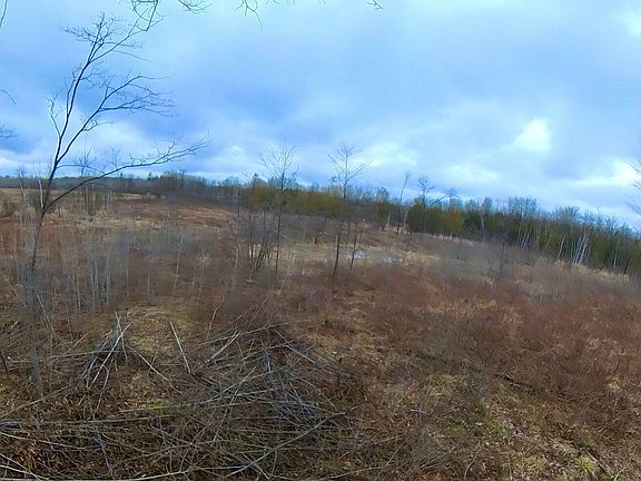 2nd image of 20 Mile Rd