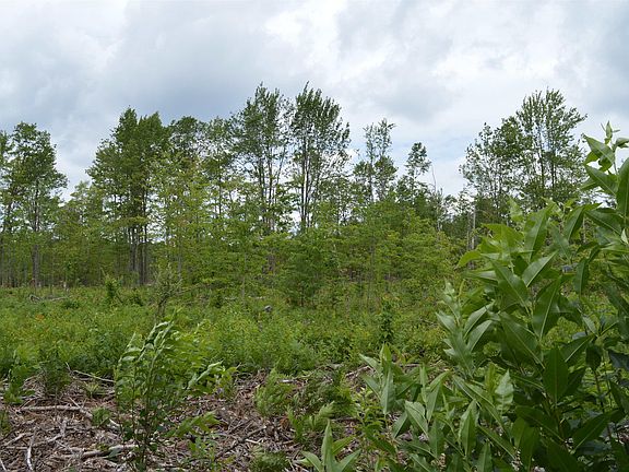 4th image of Fisher Rd Lot D
