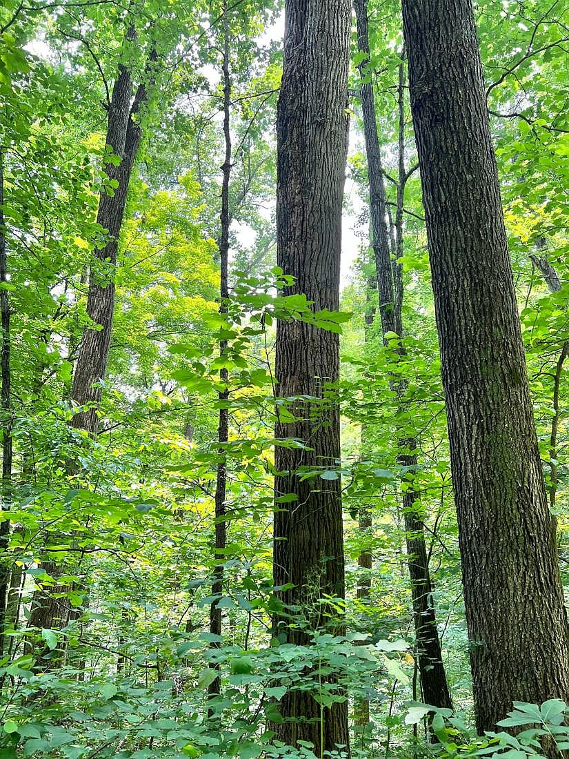 0 Block Holw, Kermit, WV 25674 MLS 11186706 Zillow