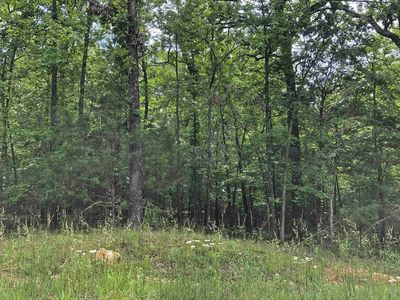 Okmulgee Dr, Cherokee Village, AR, 72529