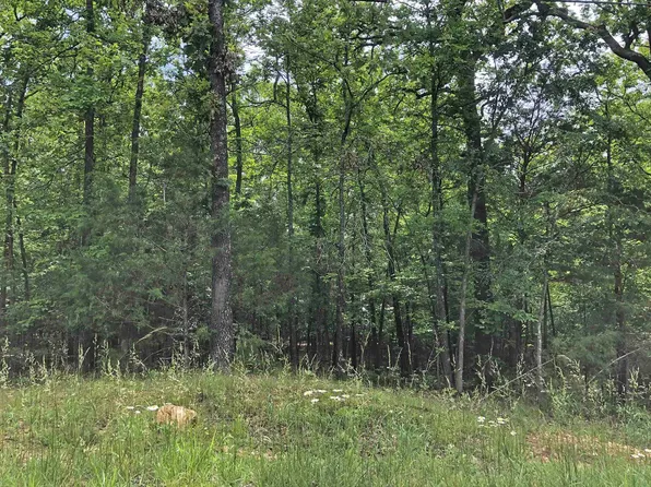 Okmulgee Dr, Cherokee Village, AR 72529