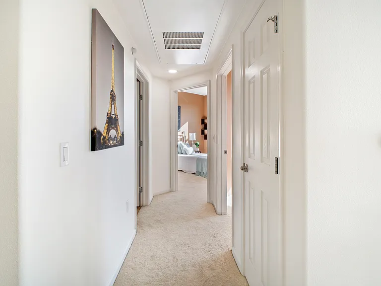 49002 Cinnamon Fern Cmn #402 — Photo 15
