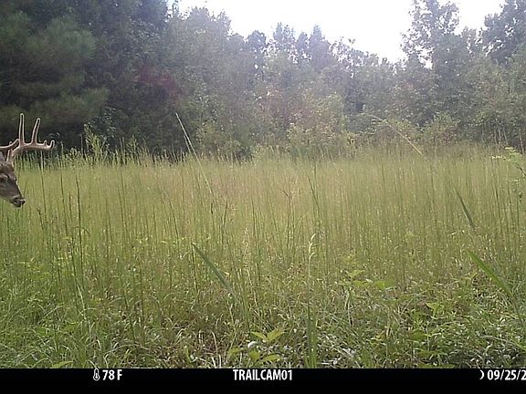 3rd image of 280 Sedgefield Rd
