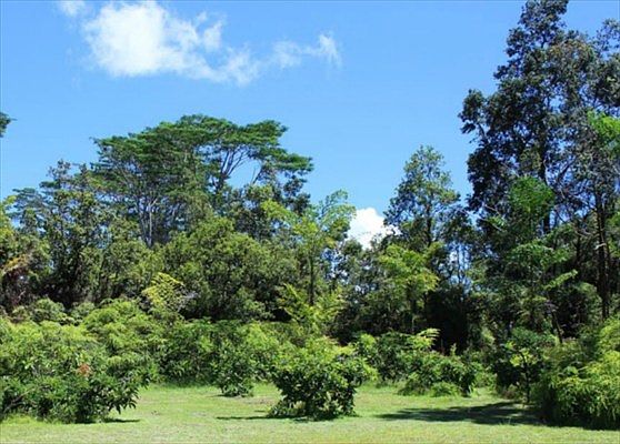 3rd image of 13-1302 Leilani Ave Lot 35