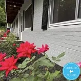 1416 Old Lystra Rd #3 — Photo 12
