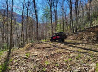 Huffman Creek Rd, Robbinsville, NC 28771