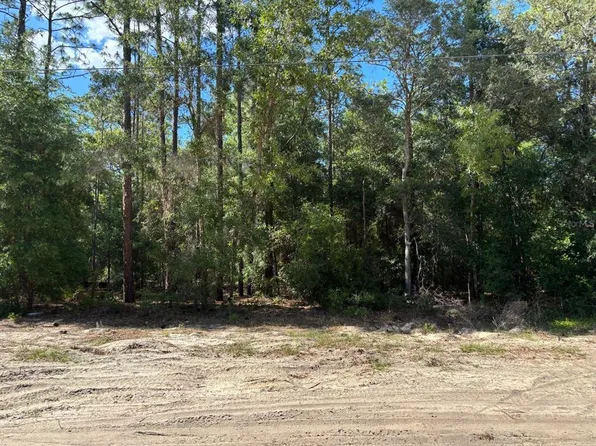 0A SW 93rd Pl, Dunnellon, FL 34432