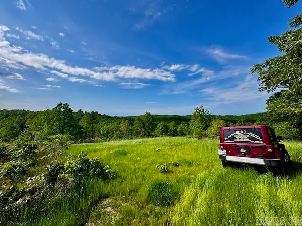 1500 Moscoe Love Rd, Saint Joe, AR 72675