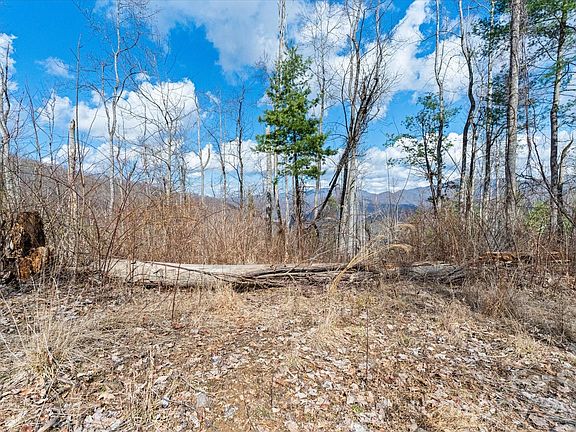 4th image of 140 Wild Mountain Ln