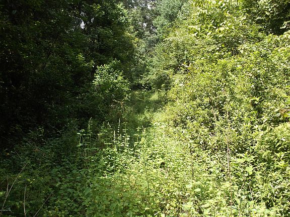 5th image of 4009 Scenic Dr
