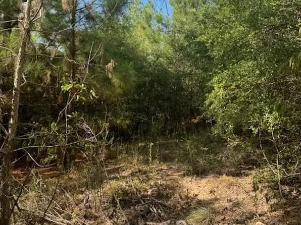 LOT 1339 Tahitian Dr, Bastrop, TX 78602