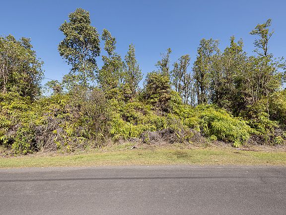 4th image of Hibiscus St Lot 7349