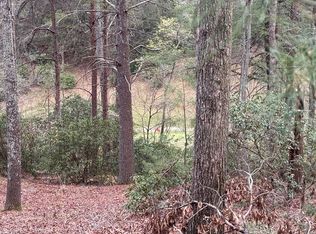 43 Seneca Dr, Ellijay, GA 30540