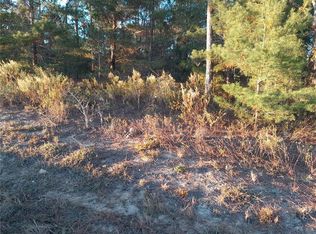 SE 10th St LOT 10, Williston, FL 32696