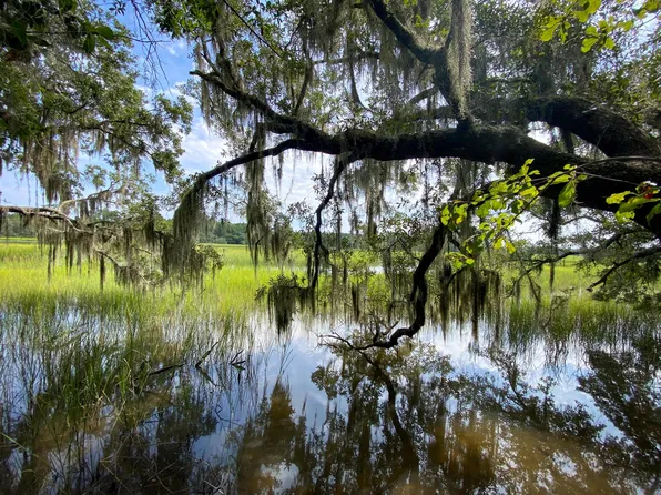 0 Bears Bluff Rd, Wadmalaw Island, SC 29487