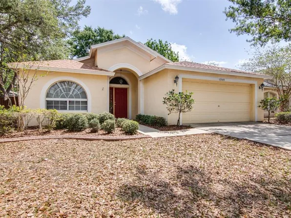 1209 Pongo Ln, Valrico, FL 33594