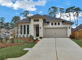 210 W Netleaf Ct, Montgomery, TX 77316