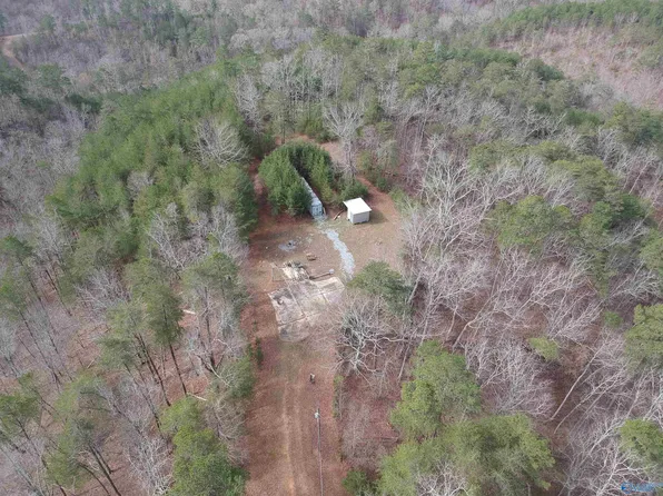 1030 County Rd #202, Centre, AL 35960