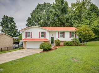 1008 Bryan Ct, Kingsport, TN 37660