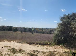 0 An County Rd #441, Palestine, TX 75803