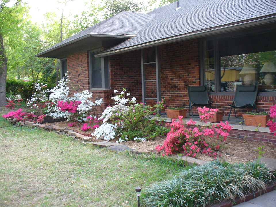 Azaleas in Springtime