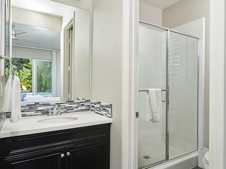 Downstairs Master Bathroom