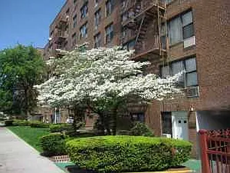 Rented by Atlantic Management Co Inc