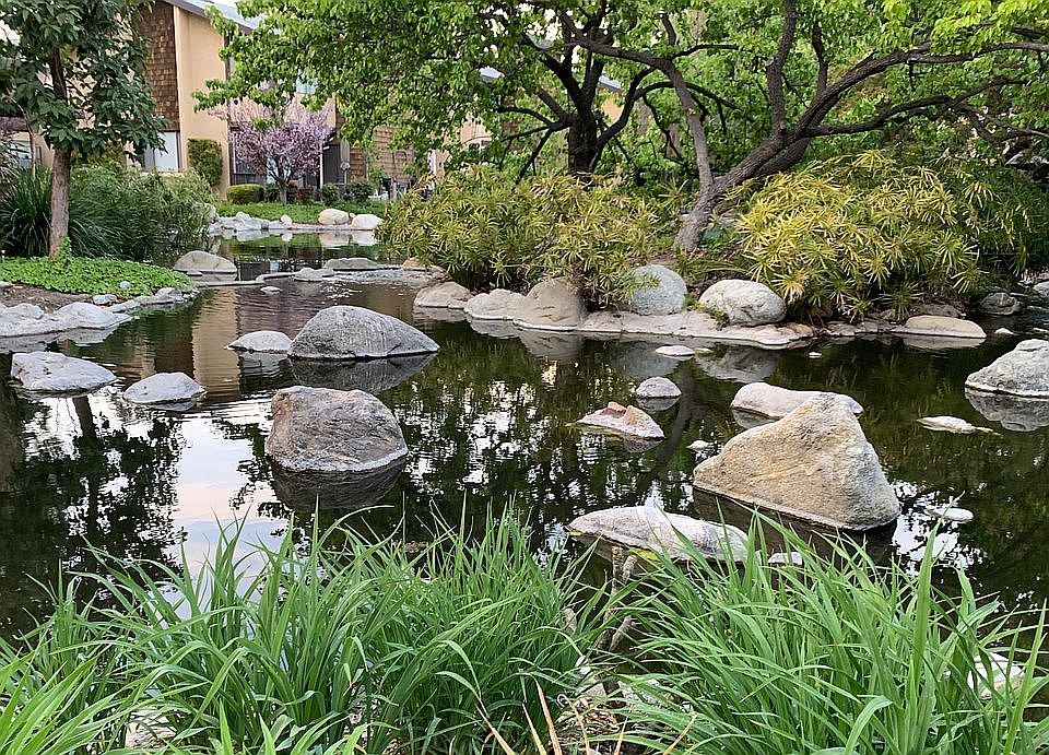 One of the Ponds