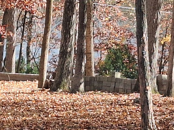 Lake in background from front porch