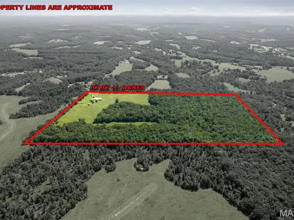 21036 Shooting Star Dr, Marble Hill, MO 63764
