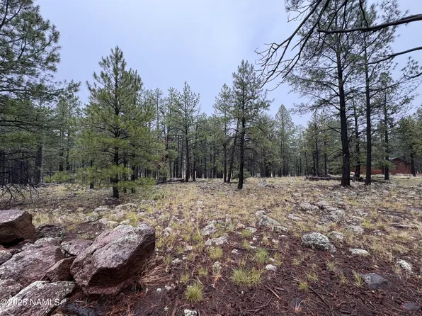 787 S Friar Tuck Trl, Williams, AZ 86046