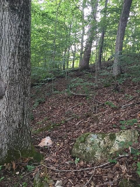 2nd image of River Bend Dr