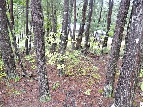 3rd image of 816 Winding Smoky Way #3514