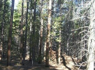 119 Rafferty Dr, Leadville, CO 80461