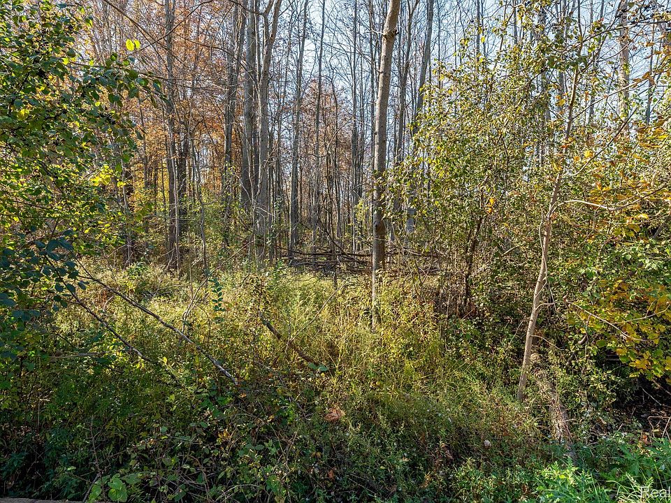 0 S Forest Ave, photo 17