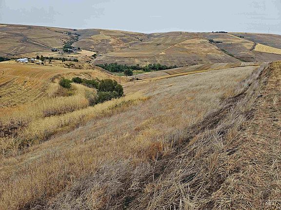 2nd image of Sander Grade Parcel 2