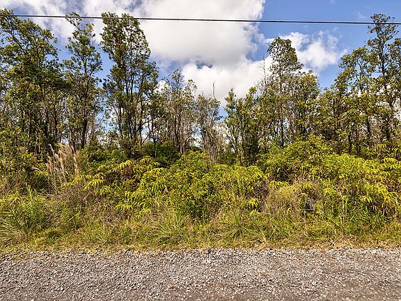 2nd image of 11-2080 Omeka Rd Lot 69