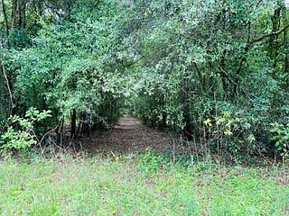 3rd image of  SW 25th Ave