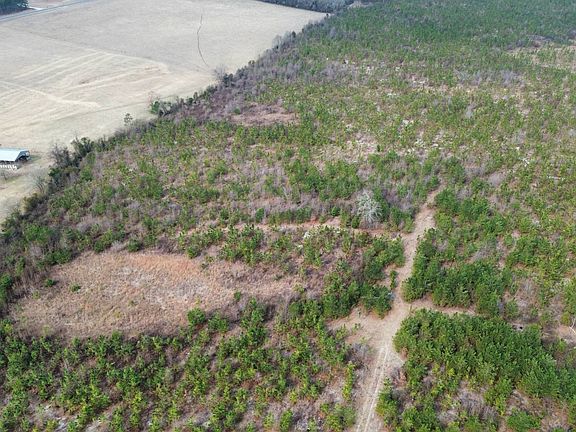 3rd image of Red Oak Creek Rd