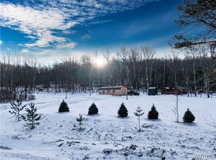 9306 Snake Run Rd, East Otto, NY 14729