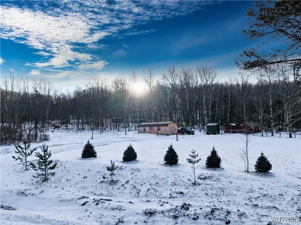 9306 Snake Run Rd, East Otto, NY 14729