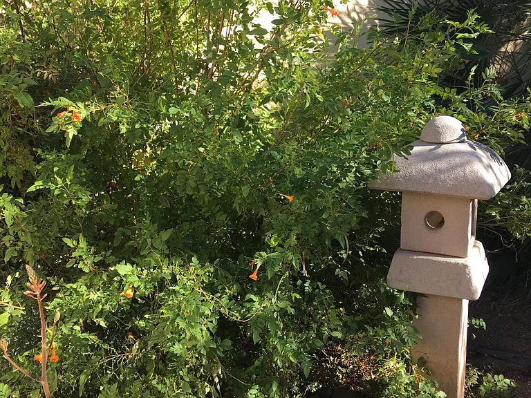front yard detail