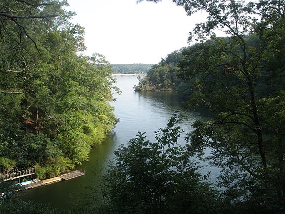 summer morning on the lake