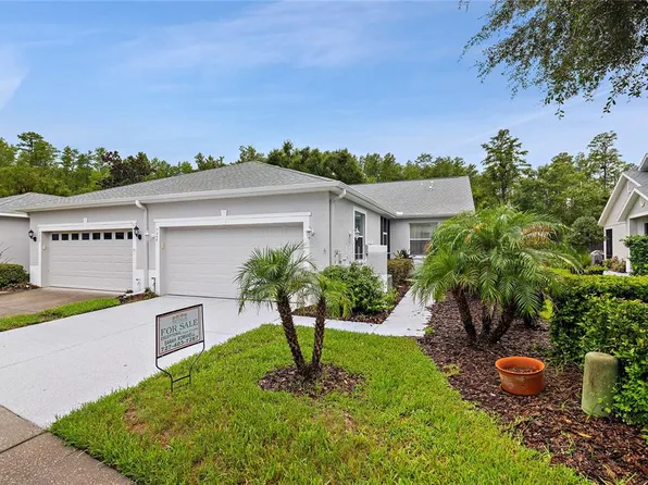 7245 CLEOPATRA DRIVE, LAND O LAKES, FL 34637