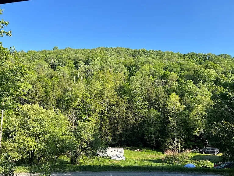211 Lick Run Rd — Photo 20