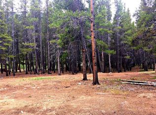 4202 Highway 91, Leadville, CO 80461