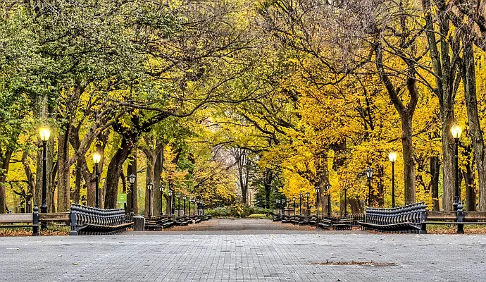 Rented by Vector New York, LLC | media 10