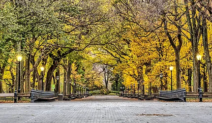 Rented by Vector New York, LLC