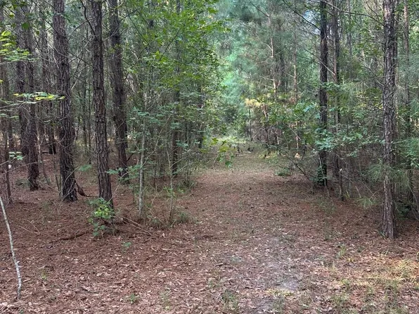 TBD Godwin Prince Ct Lot E-3, Loris, SC 29569